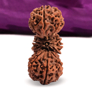 Collector Trijuti XVII