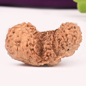 Javanese Trijuti -Small - I