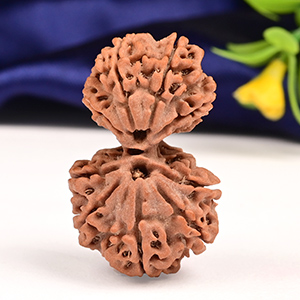 Gauri Shankar 9 Mukhi from Nepal - XXXV