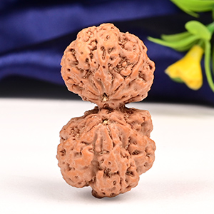 Gauri Shankar 9 Mukhi from Nepal - XXXVI