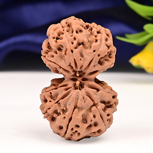 Gauri Shankar 9 Mukhi from Nepal - XXXVII