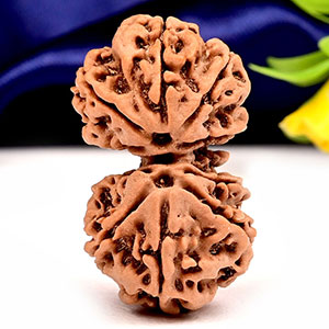 Gauri Shankar 10 Mukhi from Nepal - XXXVII