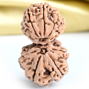 Gauri Shankar 9 Mukhi from Nepal - XLIII