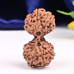 Gauri Shankar 12 Mukhi from Java Indonesia Large - I