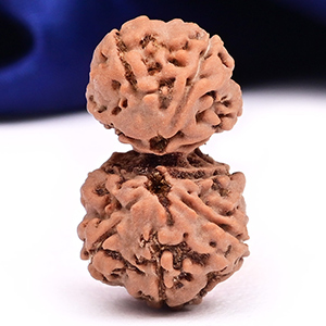 Gauri Shankar 9 Mukhi from Java Indonesia Large - II