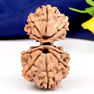 Gauri Shankar 9 Mukhi Large from Nepal - IX