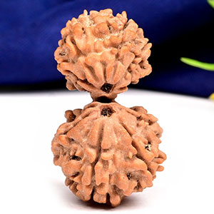 Gauri Shankar 9 Mukhi Large from Nepal - X
