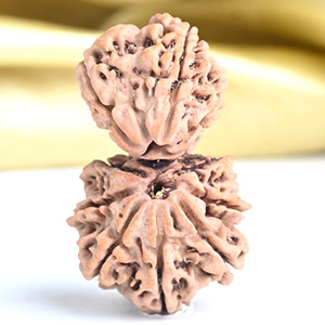 Garbh Gauri 10 mukhi from Nepal Large - I