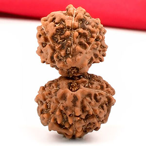 Gauri Shankar from Java Indonesia Large - III