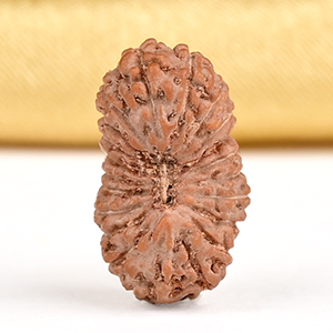 21 mukhi from Java Indonesia - XXII