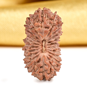 21 mukhi from Java Indonesia - XXV