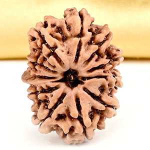 Ganesh Rudraksha 11 Mukhi from Nepal Small - I