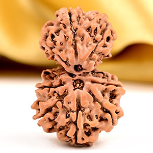 Gauri Shankar 9 Mukhi from Nepal Small - VI