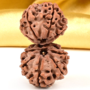 Gauri Shankar 10 Mukhi Large from Nepal - XXVII