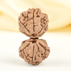 Gauri Shankar 9 Mukhi from Nepal - XLVI