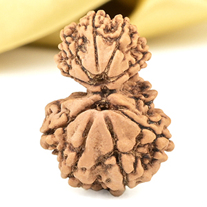 Garbh Gauri 9 Mukhi from Nepal Small - I