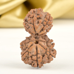 Garbh Gauri 9 Mukhi from Nepal - II