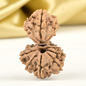 Garbh Gauri 9 Mukhi from Nepal - III