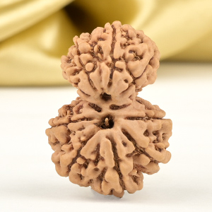 Garbh Gauri 10 Mukhi from Nepal - I