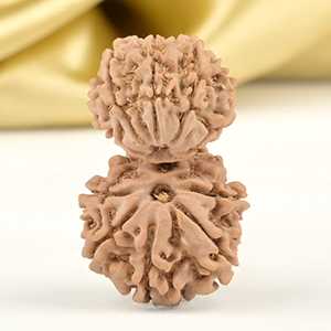 Garbh Gauri 10 Mukhi from Nepal - II