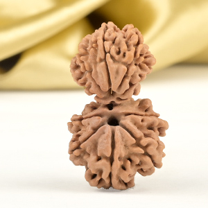 Garbh Gauri 10 Mukhi from Nepal - III