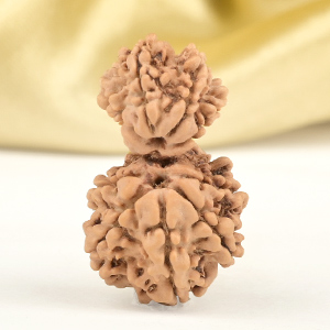 Garbh Gauri 10 Mukhi from Nepal Small - IV