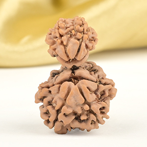 Garbh Gauri 10 Mukhi from Nepal Small - V