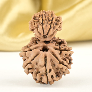 Garbh Gauri 10 Mukhi from Nepal - V