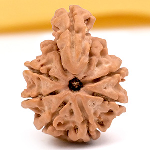 Savar Naag 9 mukhi from Nepal - I