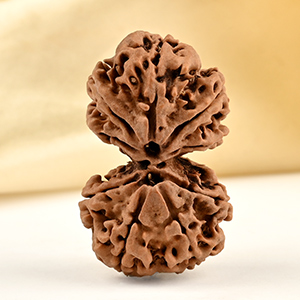 Gauri Shankar 9 Mukhi from Nepal Large - XXIII