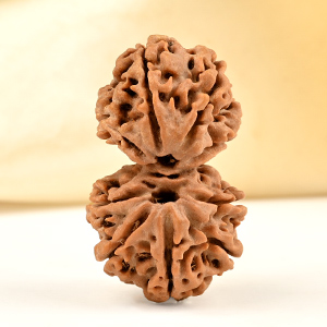 Gauri Shankar 9 Mukhi from Nepal - XLVII