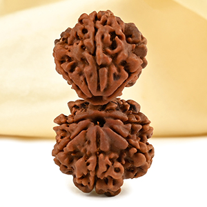 Collector Gauri Shankar 8 Mukhi from Nepal - XI