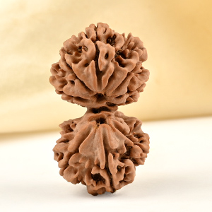 Gauri Shankar 8 Mukhi from Nepal - XII