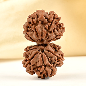 Gauri Shankar 8 Mukhi from Nepal - XIII