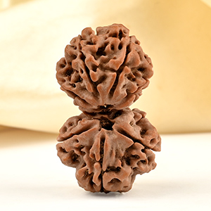 Gauri Shankar 7 Mukhi from Nepal - XXXVIII