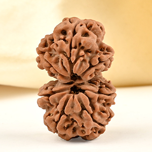 Gauri Shankar 7 Mukhi from Nepal - III