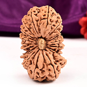 Super Collector Eighteen Mukhi Nepal - V