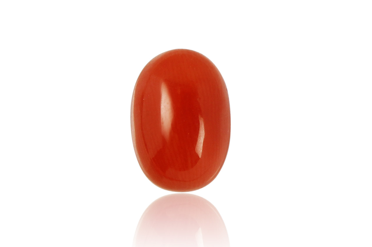 Red Italian Coral - 5 to 6 carats