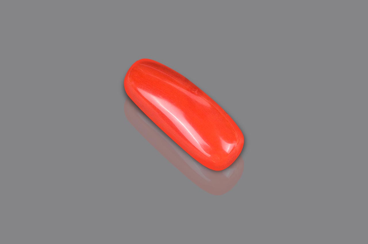 Red Italian Coral - 19.40 carats