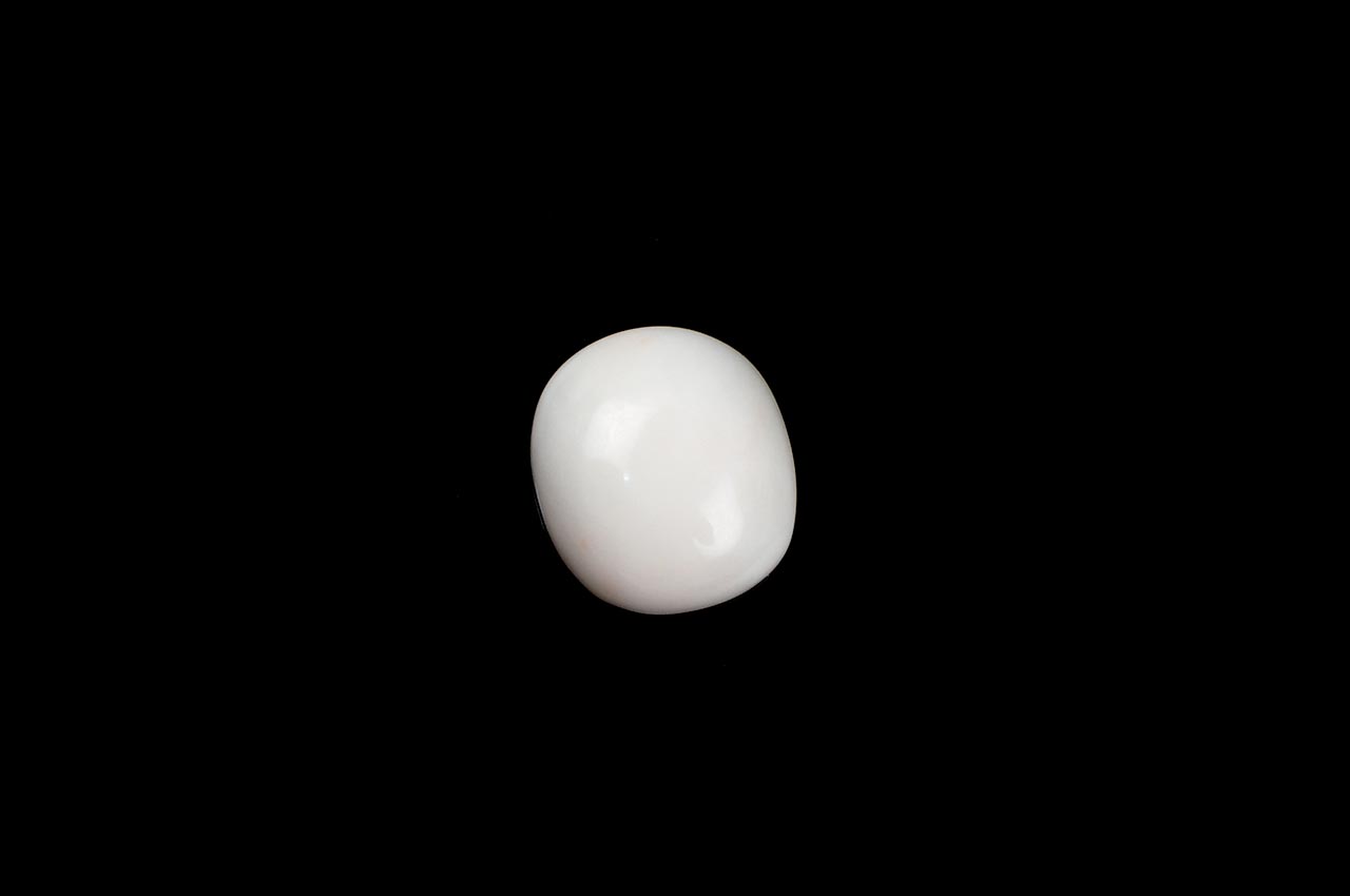 White Coral - 7.80 carats