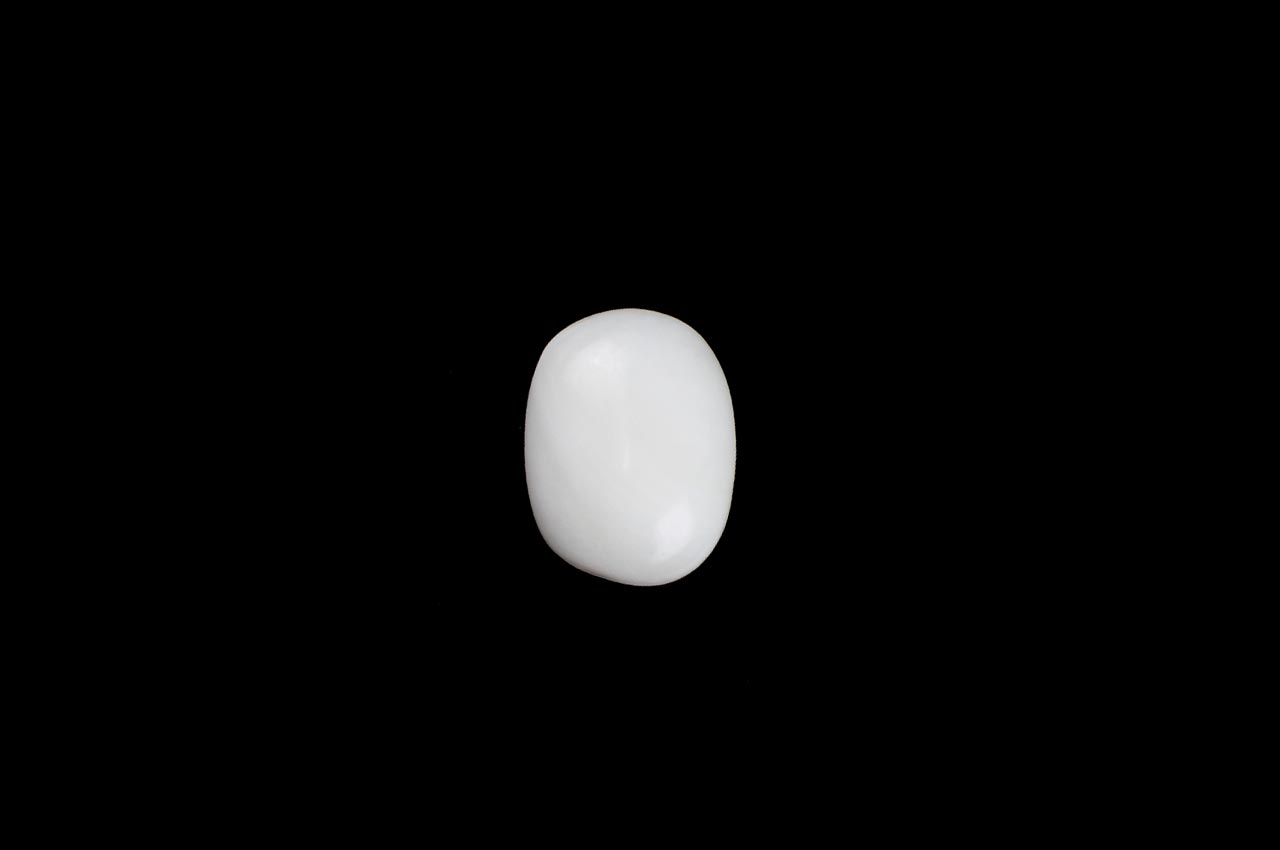 White Coral - 9.40 carats