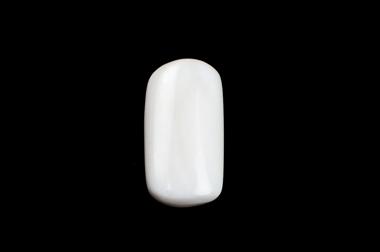 White Coral - 8.75 carats