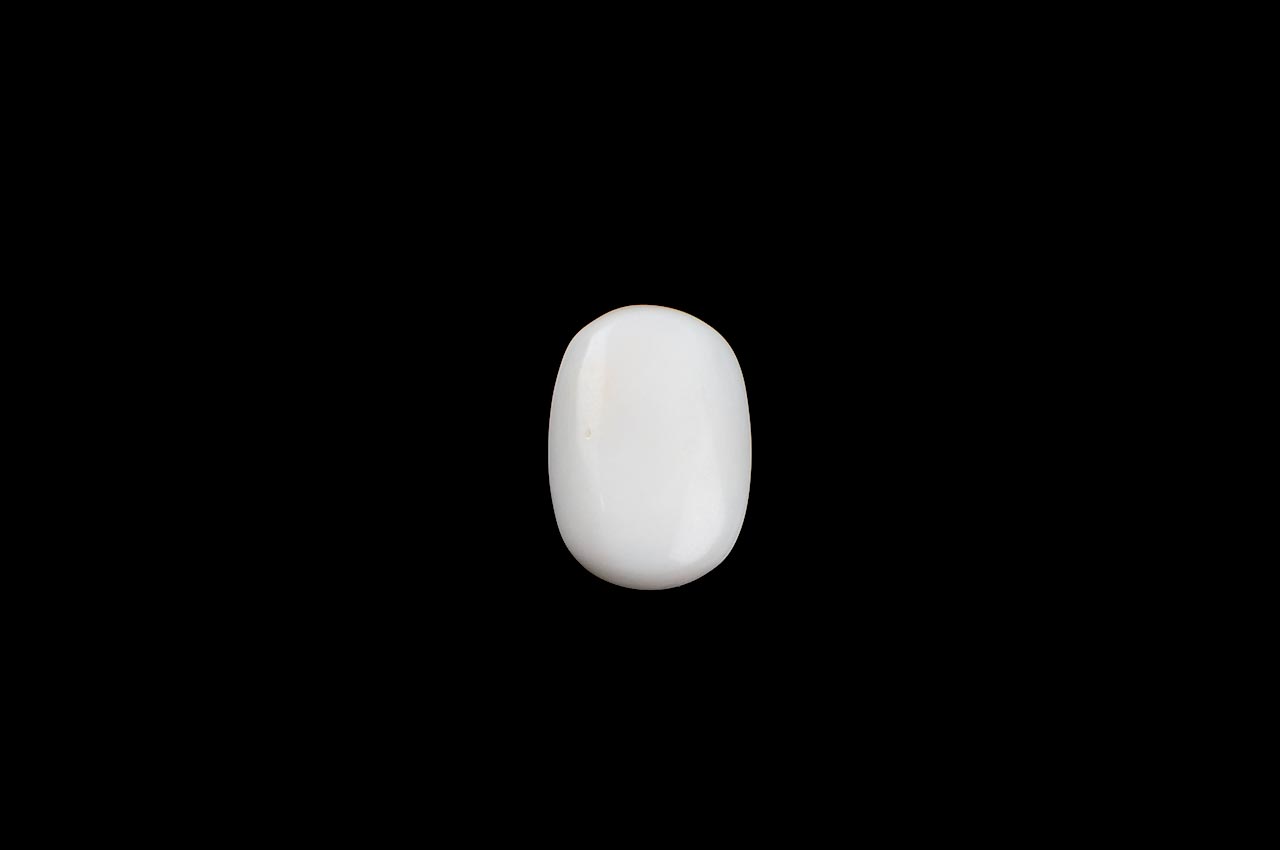White Coral - 9.90 carats