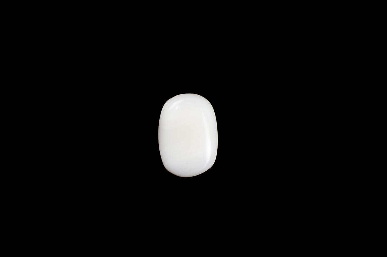 White Coral - 11 carats