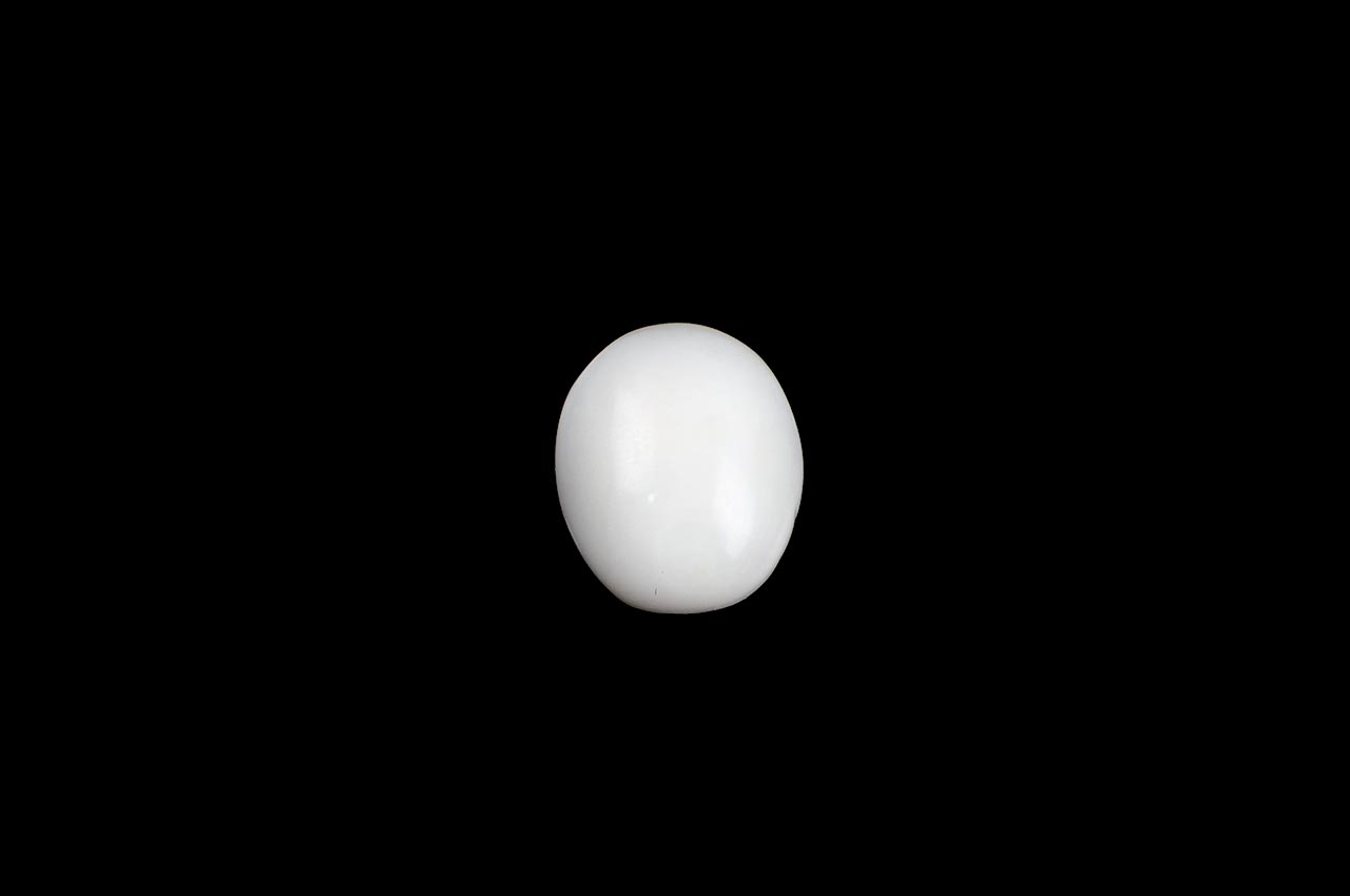 White Coral - 8.50 carats - II