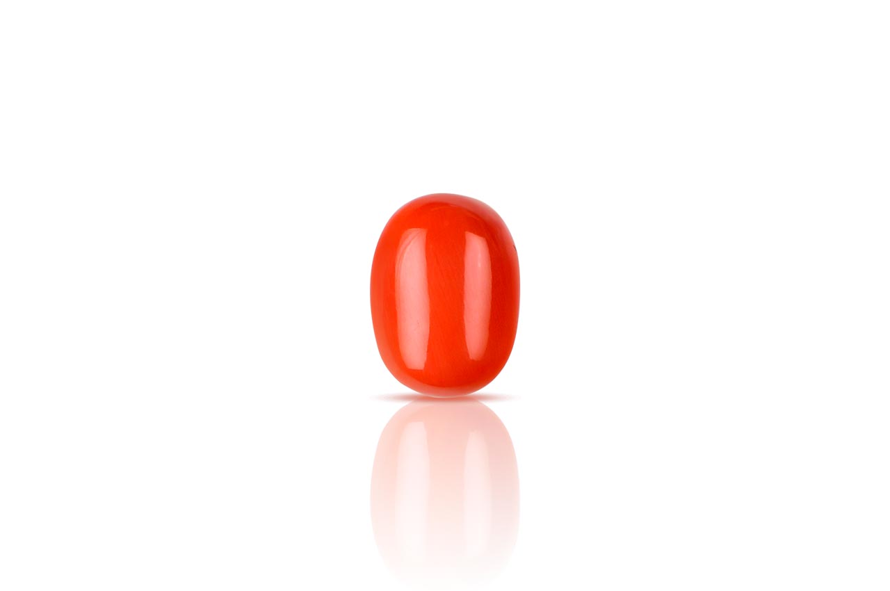 Red Japanese Coral - 11.72 carats