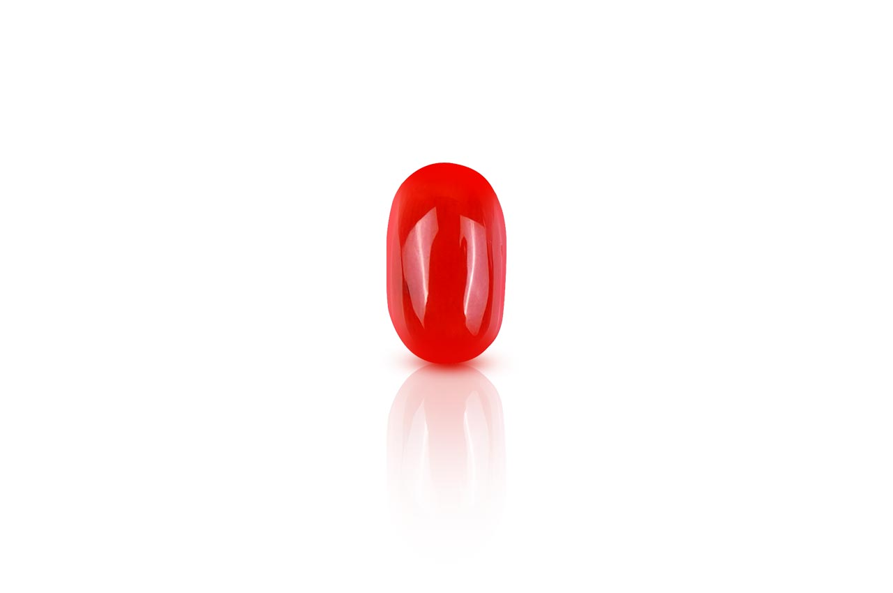 Red Italian Coral - 4.10 Carats - I