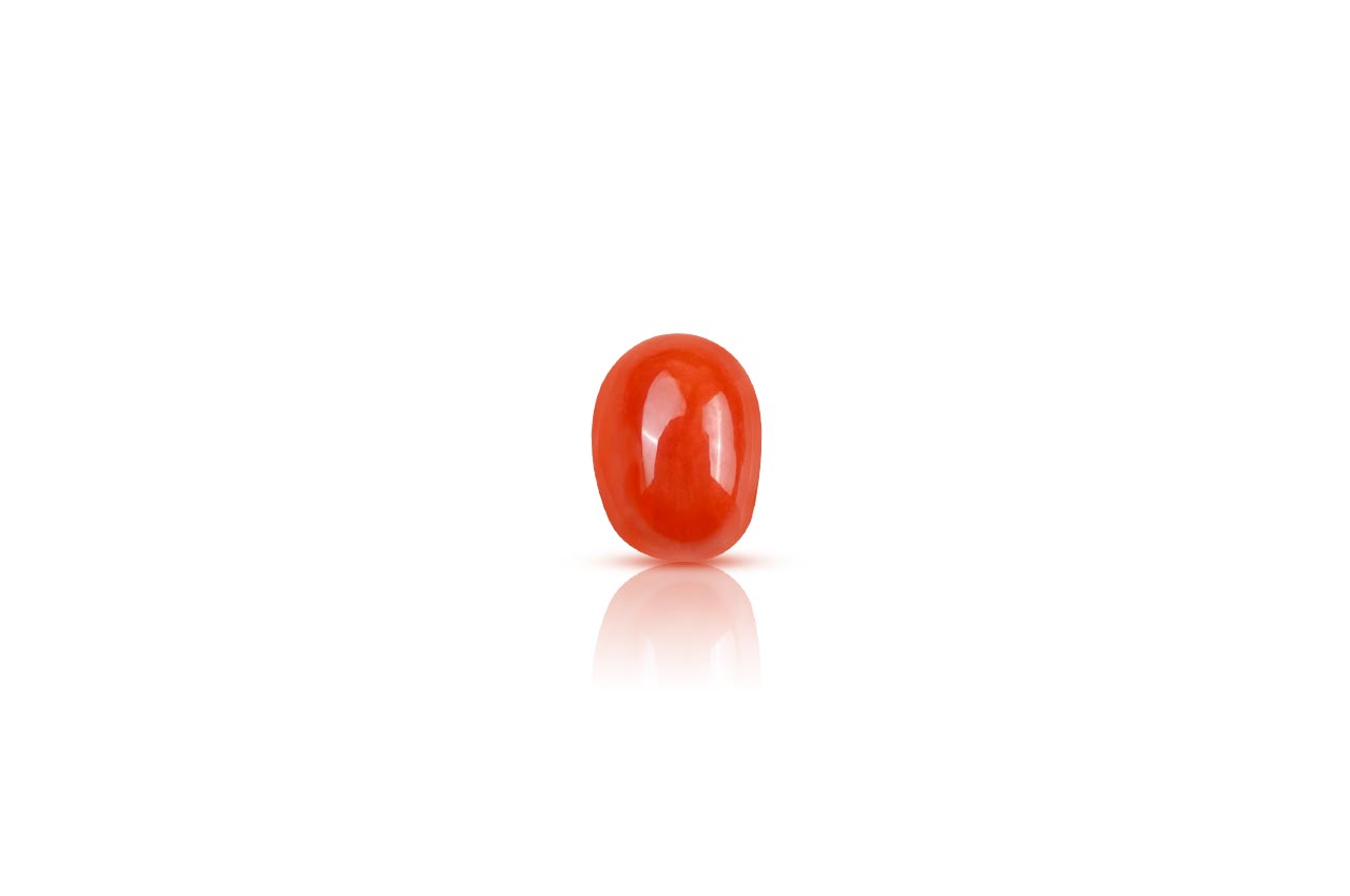 Red Italian Coral - 4.20 Carats - II