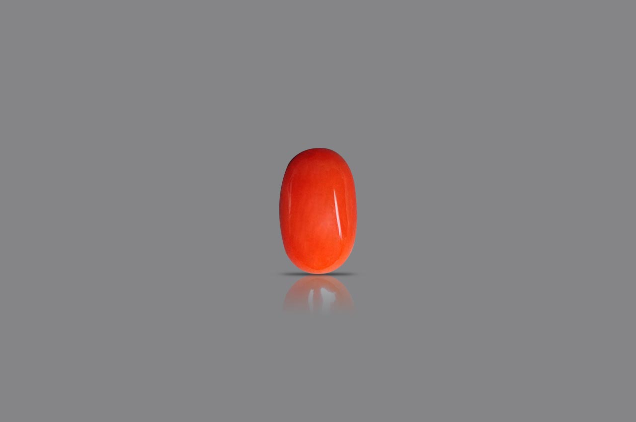 Red Italian Coral - 3.74 carats