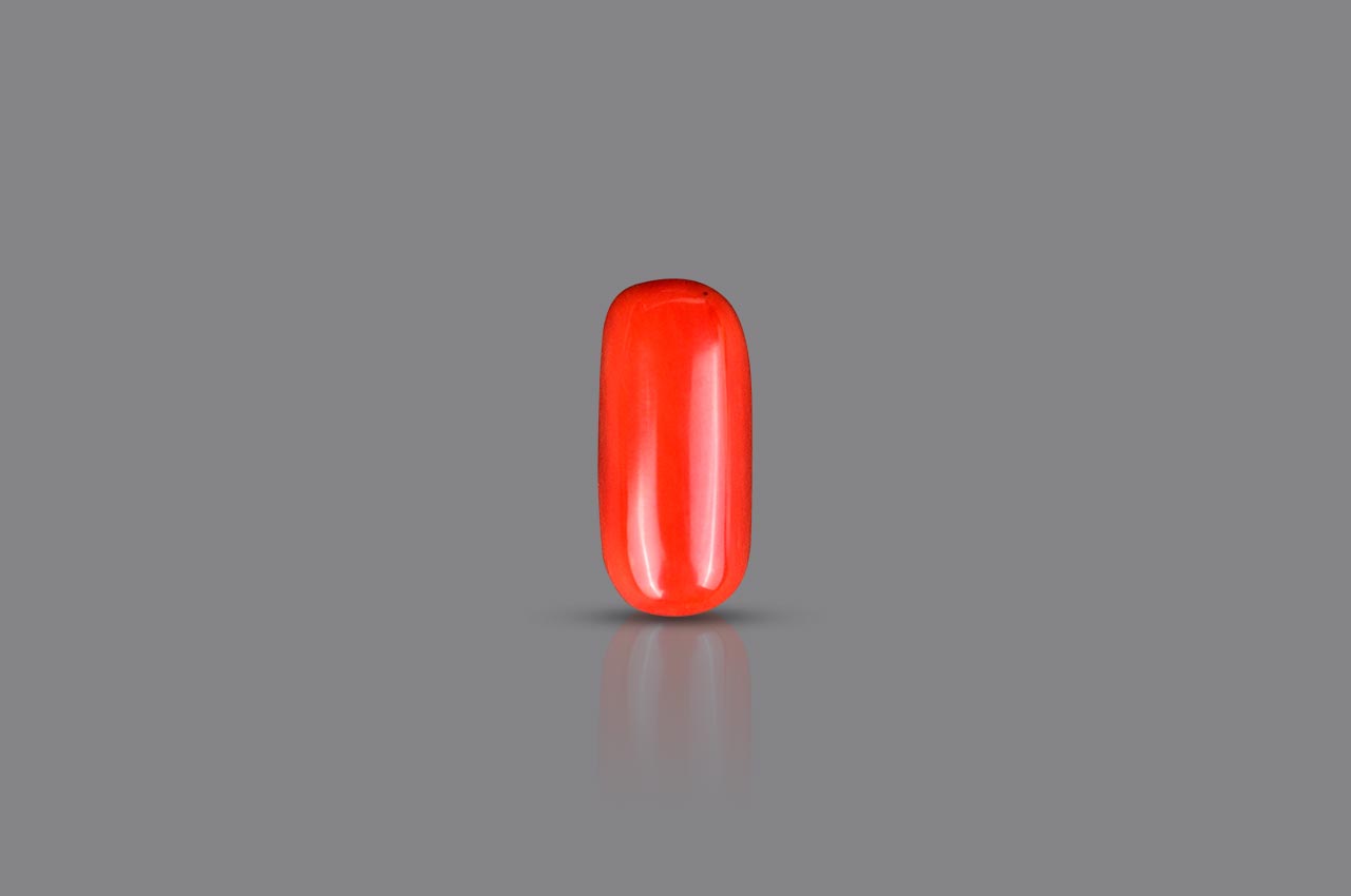 Red Italian Coral - 18.05 carats